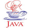 software and web development technology - Java Technology